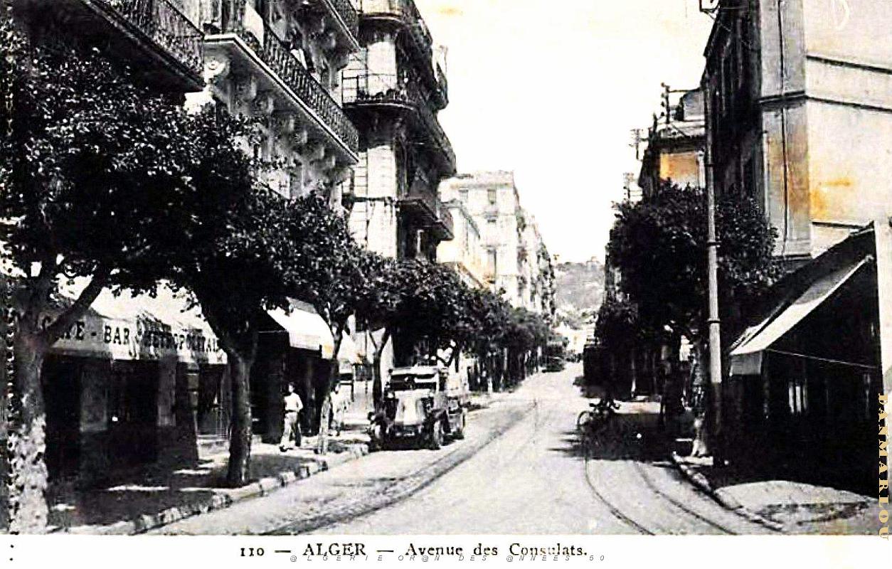 Alger - Avenue des Consulats.jpg